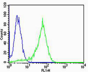Flow cytometric of HeLa cells with CHML Antibody (green) compared to an isotype control of rabbit IgG (blue). Antibody was diluted at 1:25 dilution. An Alexa Fluor 488 goat anti-rabbit lgG at 1:400 dilution was used as the secondary antibody.