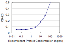 Detection limit for recombinant GST tagged CLPP is 1 ng/ml as a capture antibody.