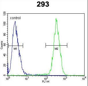 CLPX Antibody flow cytometry of 293 cells (right histogram) compared to a negative control cell (left histogram). FITC-conjugated goat-anti-rabbit secondary antibodies were used for the analysis.
