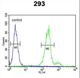 CLRN3 Antibody flow cytometry of 293 cells (right histogram) compared to a negative control cell (left histogram). FITC-conjugated goat-anti-rabbit secondary antibodies were used for the analysis.