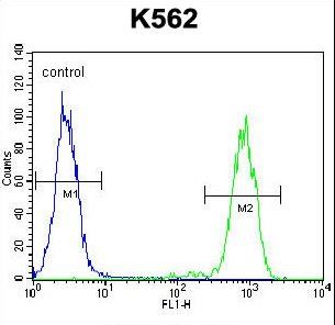 ELAVL2 Antibody flow cytometry of K562 cells (right histogram) compared to a negative control cell (left histogram). FITC-conjugated goat-anti-rabbit secondary antibodies were used for the analysis.