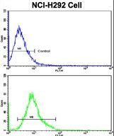 Flow cytometric of NCI-H292 cells using ELF4 Antibody (bottom histogram) compared to a negative control cell (top histogram). FITC-conjugated goat-anti-rabbit secondary antibodies were used for the analysis.