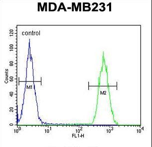 CLTA Antibody flow cytometry of MDA-MB231 cells (right histogram) compared to a negative control cell (left histogram). FITC-conjugated goat-anti-rabbit secondary antibodies were used for the analysis.
