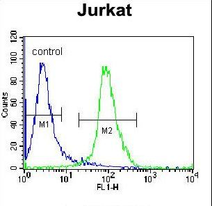 ELMO2 Antibody flow cytometry of Jurkat cells (right histogram) compared to a negative control cell (left histogram). FITC-conjugated donkey-anti-rabbit secondary antibodies were used for the analysis.