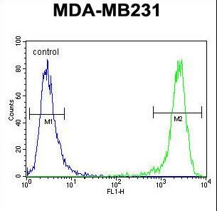 EMX1 Antibody flow cytometry of MDA-MB231 cells (right histogram) compared to a negative control cell (left histogram). FITC-conjugated goat-anti-rabbit secondary antibodies were used for the analysis.