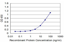 Detection limit for recombinant GST tagged EN1 is approximately 1 ng/ml as a capture antibody.