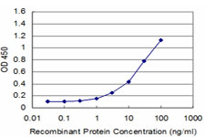 Detection limit for recombinant GST tagged EN1 is approximately 1 ng/ml as a capture antibody.
