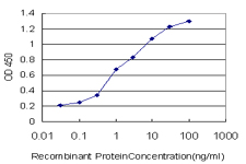 Detection limit for recombinant GST tagged MLLT1 is approximately 0.1 ng/ml as a capture antibody.