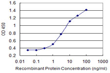 Detection limit for recombinant GST tagged ENPP3 is 0.1 ng/ml as a capture antibody.