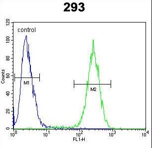 ENSA Antibody flow cytometry of 293 cells (right histogram) compared to a negative control cell (left histogram). FITC-conjugated goat-anti-rabbit secondary antibodies were used for the analysis.