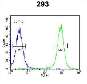 EPC2 Antibody flow cytometry of 293 cells (right histogram) compared to a negative control cell (left histogram). FITC-conjugated goat-anti-rabbit secondary antibodies were used for the analysis.