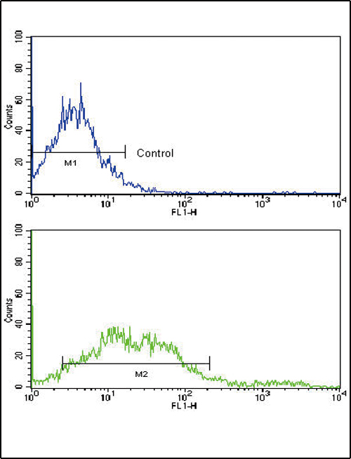 Flow cytometric of NCI-H292 cells using EphA2 Antibody (bottom histogram) compared to a negative control cell (top histogram). FITC-conjugated goat-anti-rabbit secondary antibodies were used for the analysis.
