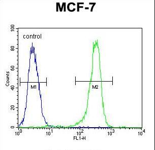 DC13 Antibody flow cytometry of MCF-7 cells (right histogram) compared to a negative control cell (left histogram). FITC-conjugated goat-anti-rabbit secondary antibodies were used for the analysis.