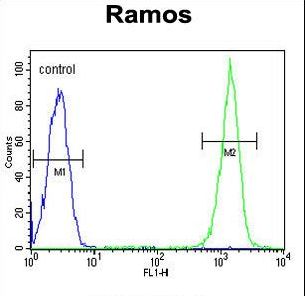 CMTM7 Antibody flow cytometry of Ramos cells (right histogram) compared to a negative control cell (left histogram). FITC-conjugated goat-anti-rabbit secondary antibodies were used for the analysis.