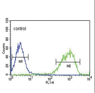 EREG Antibody flow cytometry of HepG2 cells (right histogram) compared to a negative control cell (left histogram). FITC-conjugated goat-anti-rabbit secondary antibodies were used for the analysis.