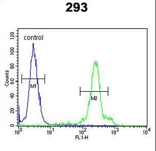ERMIN Antibody flow cytometry of 293 cells (right histogram) compared to a negative control cell (left histogram). FITC-conjugated goat-anti-rabbit secondary antibodies were used for the analysis.
