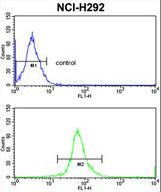 ERP29 Antibody flow cytometry of NCI-H292 cells (bottom histogram) compared to a negative control cell (top histogram). FITC-conjugated goat-anti-rabbit secondary antibodies were used for the analysis.