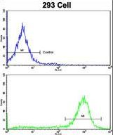 Flow cytometric of 293 cells using ESRRA Antibody (bottom histogram) compared to a negative control cell (top histogram). FITC-conjugated goat-anti-rabbit secondary antibodies were used for the analysis.