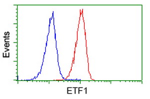 Flow cytometry of Jurkat cells, using anti-ETF1 antibody (Red), compared to a nonspecific negative control antibody (Blue).