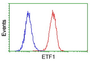 Flow cytometry of HeLa cells, using anti-ETF1 antibody (Red), compared to a nonspecific negative control antibody (Blue).