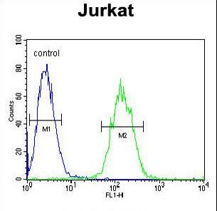 ETS1 Antibody flow cytometry of Jurkat cells (right histogram) compared to a negative control cell (left histogram). FITC-conjugated goat-anti-rabbit secondary antibodies were used for the analysis.