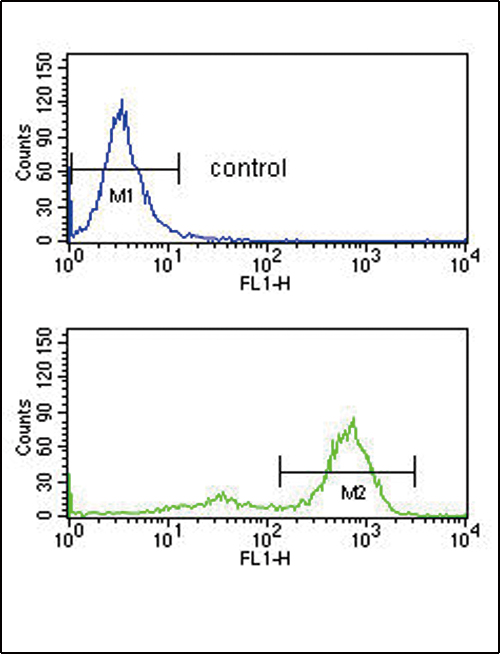 ETV6 Antibody flow cytometry of K562 cells (bottom histogram) compared to a negative control cell (top histogram). FITC-conjugated goat-anti-rabbit secondary antibodies were used for the analysis.