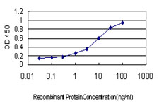 Detection limit for recombinant GST tagged ETV6 is approximately 0.1 ng/ml as a capture antibody.