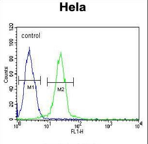 EWSR1 Antibody flow cytometry of HeLa cells (right histogram) compared to a negative control cell (left histogram). FITC-conjugated goat-anti-rabbit secondary antibodies were used for the analysis.