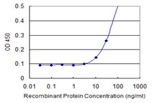Detection limit for recombinant GST tagged EXOSC5 is 3 ng/ml as a capture antibody.