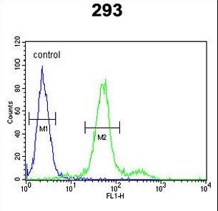 COL18A1 Antibody flow cytometry of 293 cells (right histogram) compared to a negative control cell (left histogram). FITC-conjugated goat-anti-rabbit secondary antibodies were used for the analysis.