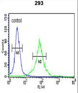 WTX Antibody flow cytometry of 293 cells (right histogram) compared to a negative control cell (left histogram). FITC-conjugated goat-anti-rabbit secondary antibodies were used for the analysis.