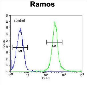 FAM133A Antibody flow cytometry of Ramos cells (right histogram) compared to a negative control cell (left histogram). FITC-conjugated goat-anti-rabbit secondary antibodies were used for the analysis.