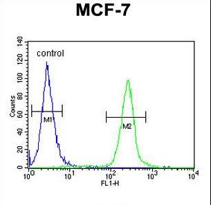 FA20A Antibody flow cytometry of MCF-7 cells (right histogram) compared to a negative control cell (left histogram). FITC-conjugated goat-anti-rabbit secondary antibodies were used for the analysis.