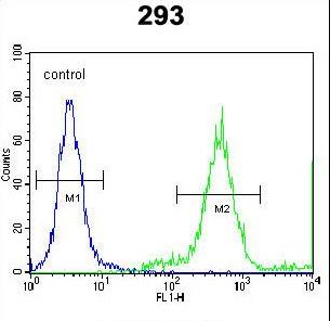 FAM26E Antibody flow cytometry of 293 cells (right histogram) compared to a negative control cell (left histogram). FITC-conjugated goat-anti-rabbit secondary antibodies were used for the analysis.