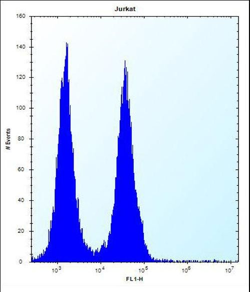 FA8A1 Antibody flow cytometry of Jurkat cells (right histogram) compared to a negative control cell (left histogram). FITC-conjugated donkey-anti-rabbit secondary antibodies were used for the analysis.