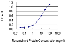 Detection limit for recombinant GST tagged CNR2 is 0.1 ng/ml as a capture antibody.