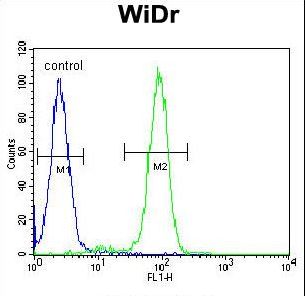 FBXO9 Antibody flow cytometry of WiDr cells (right histogram) compared to a negative control cell (left histogram). FITC-conjugated goat-anti-rabbit secondary antibodies were used for the analysis.