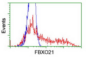HEK293T cells transfected with either overexpress plasmid (Red) or empty vector control plasmid (Blue) were immunostained by anti-FBXO21 antibody, and then analyzed by flow cytometry.