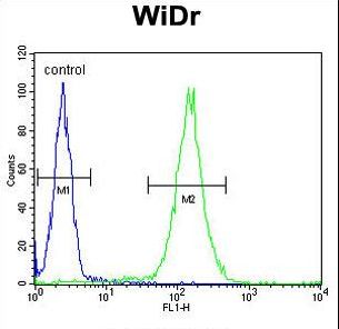 FBXO34 Antibody flow cytometry of WiDr cells (right histogram) compared to a negative control cell (left histogram). FITC-conjugated goat-anti-rabbit secondary antibodies were used for the analysis.