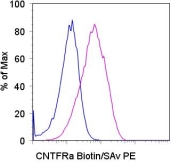 Staining of the IMR-32 cell line with 0.5 ug of Biotin Mouse IgG2a, K isotype control (blue histogram) or 0.5 ug of Biotin anti-human CNTFR alpha (purple histogram) followed by Streptavidin-PE. Total viable cells were used for analysis.