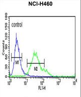 FCGR1A Antibody flow cytometry of NCI-H460 cells (right histogram) compared to a negative control cell (left histogram). FITC-conjugated goat-anti-rabbit secondary antibodies were used for the analysis.