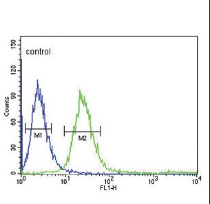 FCGR1B Antibody flow cytometry of CEM cells (right histogram) compared to a negative control cell (left histogram). FITC-conjugated goat-anti-rabbit secondary antibodies were used for the analysis.