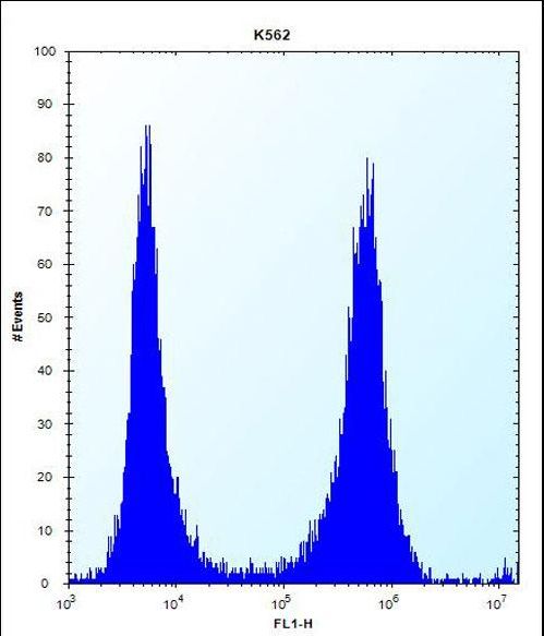 FCN3 Antibody flow cytometry of K562 cells (right histogram) compared to a negative control cell (left histogram). FITC-conjugated donkey-anti-rabbit secondary antibodies were used for the analysis.