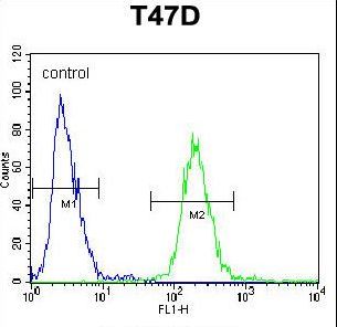 FIBB Antibody flow cytometry of T47D cells (right histogram) compared to a negative control cell (left histogram). FITC-conjugated goat-anti-rabbit secondary antibodies were used for the analysis.