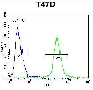 FGG Antibody flow cytometry of T47D cells (right histogram) compared to a negative control cell (left histogram). FITC-conjugated goat-anti-rabbit secondary antibodies were used for the analysis.