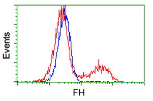 HEK293T cells transfected with either overexpress plasmid (Red) or empty vector control plasmid (Blue) were immunostained by anti-FH antibody, and then analyzed by flow cytometry.