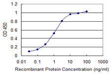 Detection limit for recombinant GST tagged FKBP10 is 0.03 ng/ml as a capture antibody.