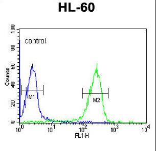 FKBP11 Antibody flow cytometry of HL-60 cells (right histogram) compared to a negative control cell (left histogram). FITC-conjugated goat-anti-rabbit secondary antibodies were used for the analysis.
