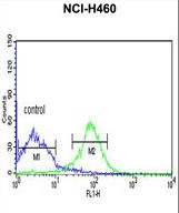 FKBP14 Antibody flow cytometry of NCI-H460 cells (right histogram) compared to a negative control cell (left histogram). FITC-conjugated goat-anti-rabbit secondary antibodies were used for the analysis.
