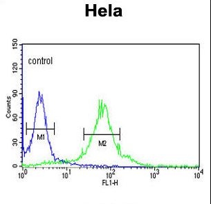FKBP2 Antibody flow cytometry of HeLa cells (right histogram) compared to a negative control cell (left histogram). FITC-conjugated goat-anti-rabbit secondary antibodies were used for the analysis.